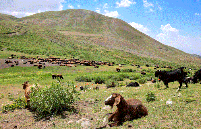 Alamut tour|Iran trekking tour ||Best Iran adventure tour operator