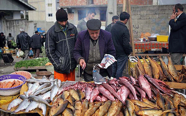   best iran hikking tour package|Alamut tour | visit Alamut & north of Iran 