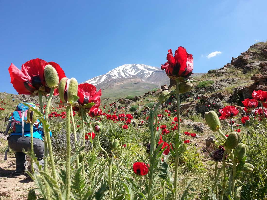  Mountain Damavand tour|damavand normal route |Iran tour operator 