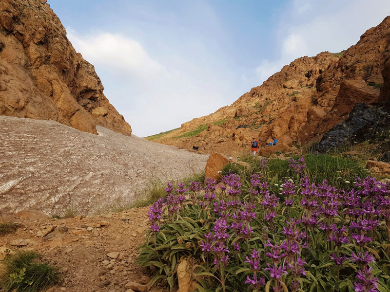 Alam kuh tour |Best Iran mountain tour |Iran trekking tour
