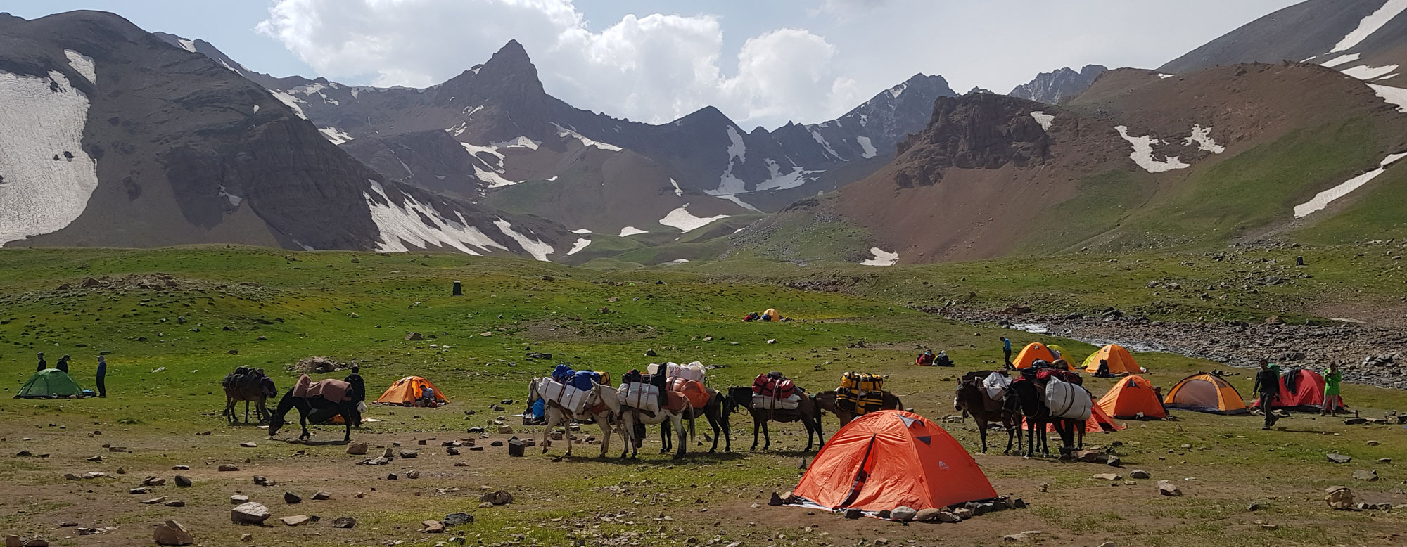 علم کوه
